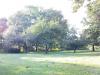Mokotów - Królikarnia - park - 5