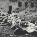 Exhumation at the courtyard of Gęsiówka prison in Warsaw (1946)